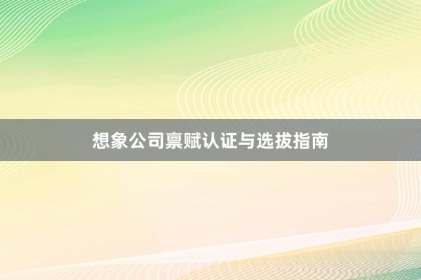 想象公司禀赋认证与选拔指南
