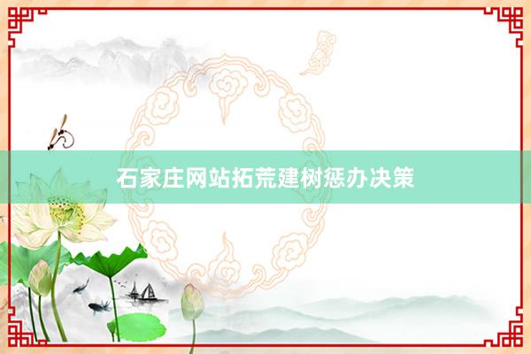 石家庄网站拓荒建树惩办决策